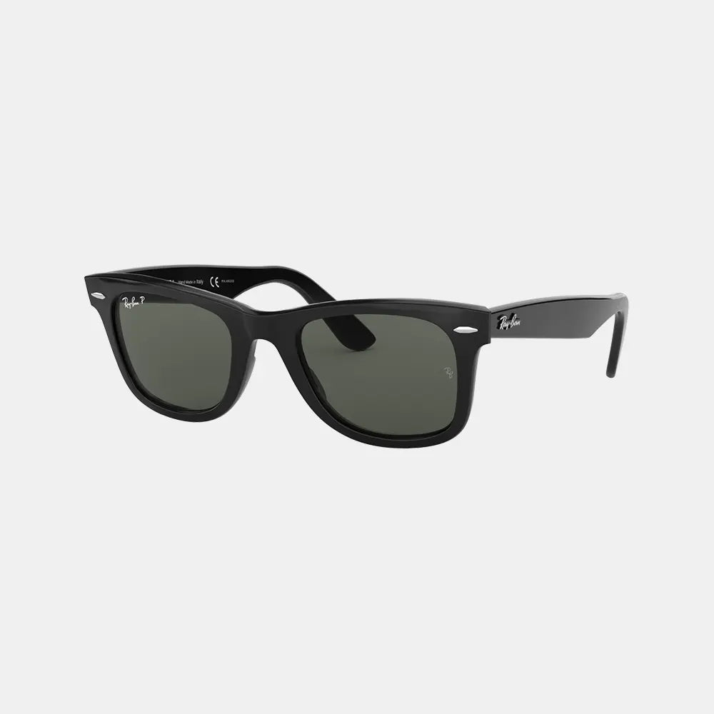 Wayfarer Polarized Large