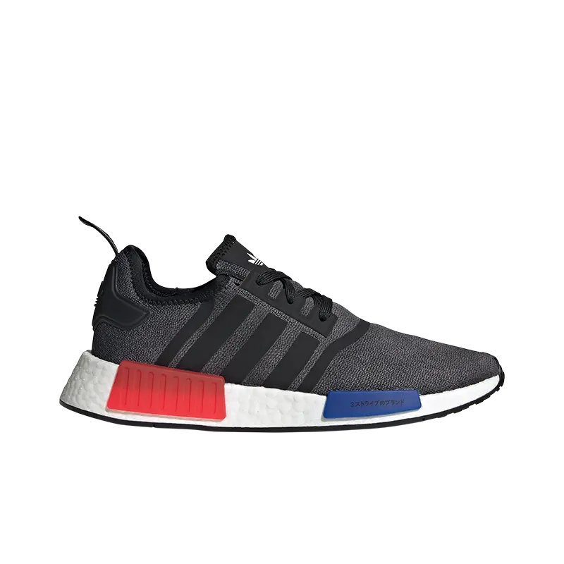 NMD_R1