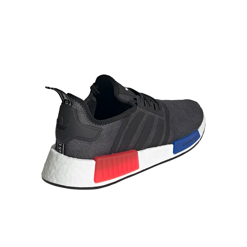 NMD_R1